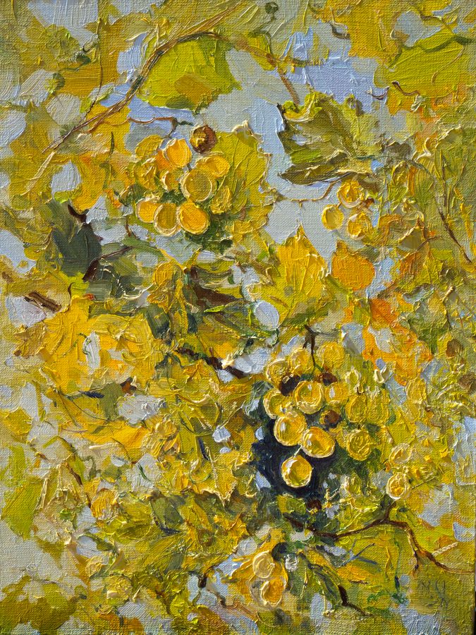 Georgian Grapes, oil on canvas, 30 × 40 cm, 2026